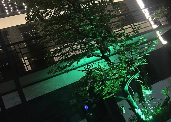 Bamboo & Hotel 3*